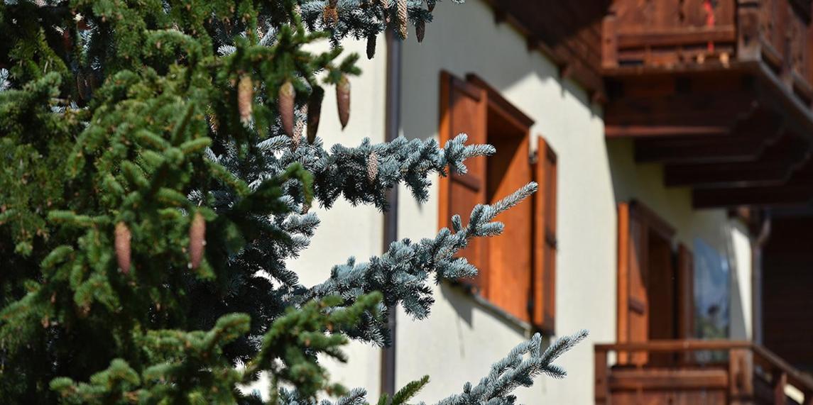 Chalet Barbara Apartment Livigno Exterior photo