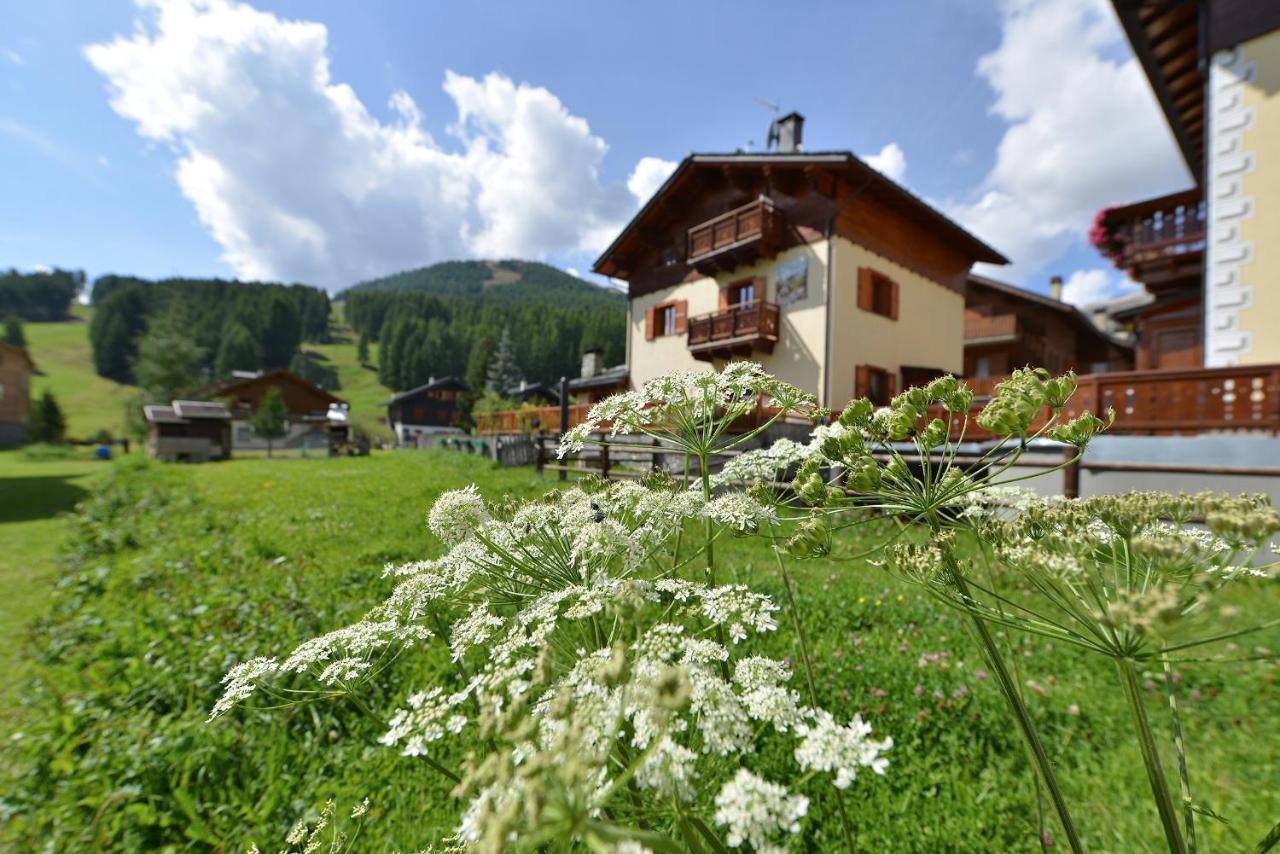 Chalet Barbara Apartment Livigno Exterior photo